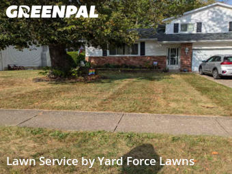 Grass Services in Lorain, 44053, Backyard Mowing by Yard Force Lawns, work completed in Nov , 2025