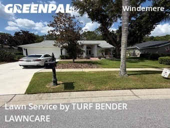 Lawn Cutting nearby Palm Harbor, FL, 