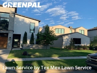 Yard Cutting nearby Dallas, TX, 