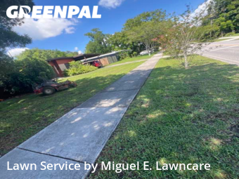 Grass Cut nearby Orlando, FL, 