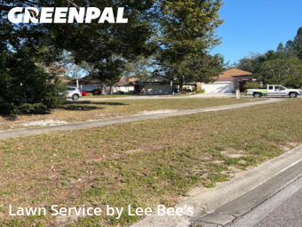 Grass Cut nearby Orlando, FL, 