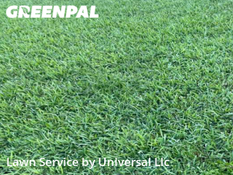 Lawn Maintenance nearby Dania Beach, FL, 
