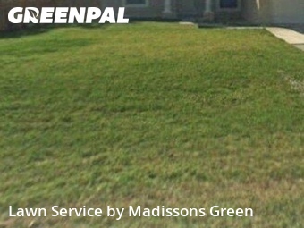 Landscaping Installation West Palm Beach,33413,Landscaping Installation by Madissons Green, work completed in Jun , 2026