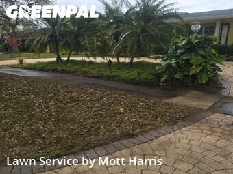 Grass Cut nearby Plantation, FL, 