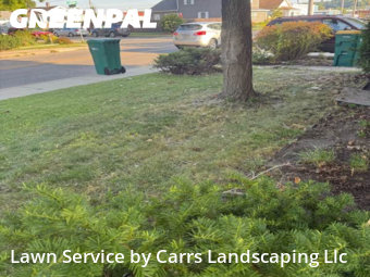 Mowing Services in Mishawaka, 46544, Backyard Mowing by Carrs Landscaping Llc, work completed in Nov , 2025
