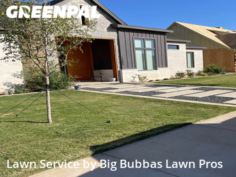 Lawn Mowing Service nearby Wolfforth, TX, 