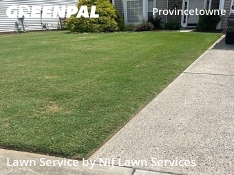 Lawn Cut nearby Charlotte, NC, 