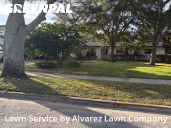 Lawn Mowin Winter Park,32789,Lawn Service by Alvarez Lawn Company, work completed in Nov , 2025