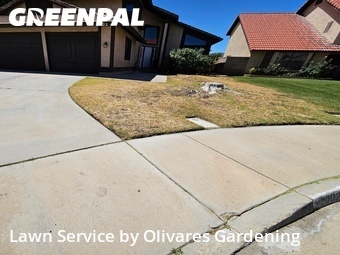 Lawn Mow nearby Palmdale, CA, 