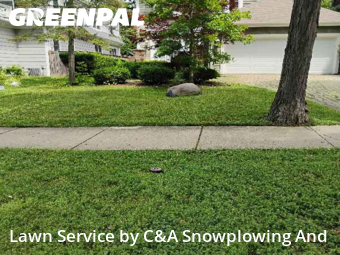 Yard Services in Winnetka, 60093, Yard Mowing by C&A Snowplowing And , work completed in Nov , 2025