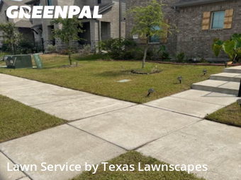 Lawn Carein Wylie,75098,Lawn Care by Texas Lawnscapes, work completed in Dec , 2025