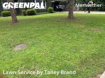 Lawn Mow nearby Little Rock, AR, 