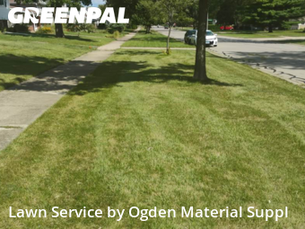 Lawn Mowing Service nearby Addison, IL, 