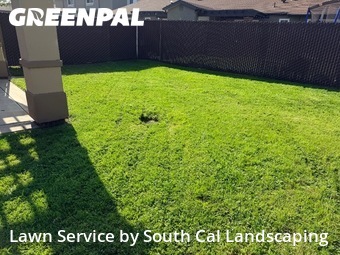 Lawn Maintenance nearby San Diego, CA, 