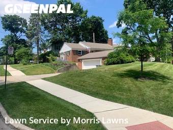Lawn Service nearby Toledo, OH, 