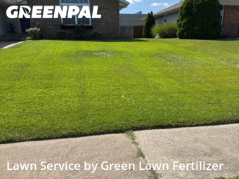 Yard Cutting nearby Springfield, MO, 