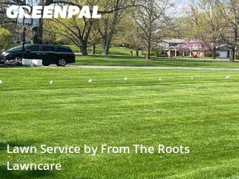 Yard Cutting nearby Glen Ellyn, IL, 