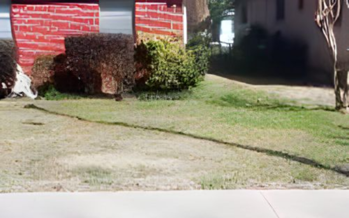Work Image 4