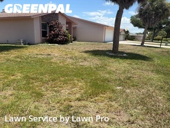 Grass Cut nearby Sarasota, FL, 