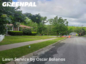 Lawn Care nearby Endicott, NY, 