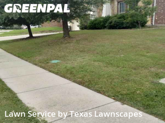 Grass Cutting nearby Sachse, TX, 
