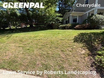 Lawn Care Service nearby Arlington, VA, 