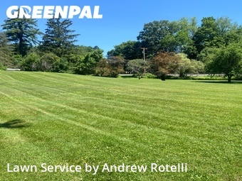 Yard Cutting nearby Baldwinsville, NY, 