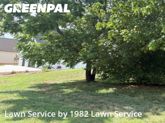 Yard Cutting nearby Conover, NC, 