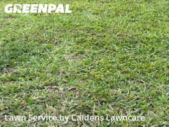 Yard Care Services in Golden Glades, 33168, Lawn Upkeep by Caidens Lawncare , work completed in Nov , 2025