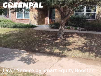 Yard Upkeep in Georgetown, 78628, Lawn Cutting by Smart Equity Booster, work completed in Nov , 2025