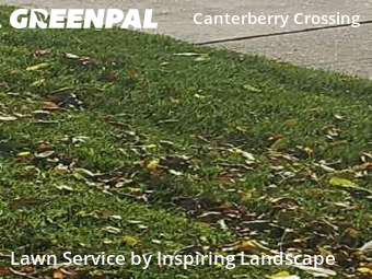 Turf Services in Parker, 80138, Lawn Maintenance by Inspiring Landscape, work completed in Nov , 2025