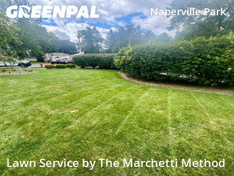 Lawn Cut nearby Plainfield, IL, 