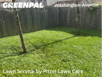 Lawn Cut nearby Houston, TX, 