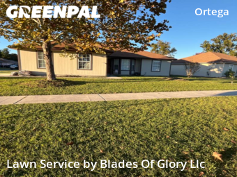 Lawn Cut nearby Jacksonville, TN, 