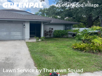 Lawn Cut nearby Tampa, FL, 