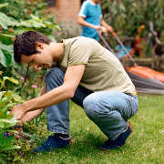 lawn-maintenance-in-Seattle-WA