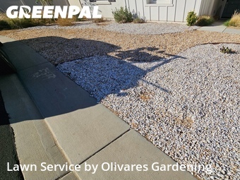 Landscaping Maintenance In Lancaster,93536,Landscaping Maintenance by Olivares Gardening , work completed in Apr , 2026