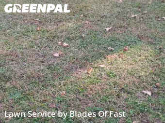 Lawn Maintenancein Decatur,30032,Lawn Mowing by Blades Of Fast, work completed in Dec , 2025