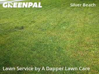 Lawn Care nearby Bellingham, WA, 