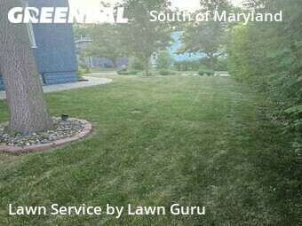 Lawn Maintenance nearby Saint Paul, MN, 