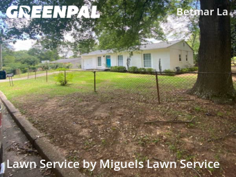 Yard Mowing nearby Atlanta, GA, 