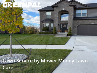 Landscaping Maintenance in Sterling Heights, 48310, Garden Trimming by Mower Money Lawn Care, work completed in Nov , 2025