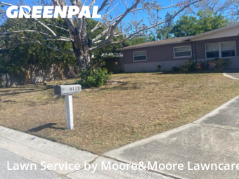 Lawn Maintenance nearby Pinellas Park, FL, 