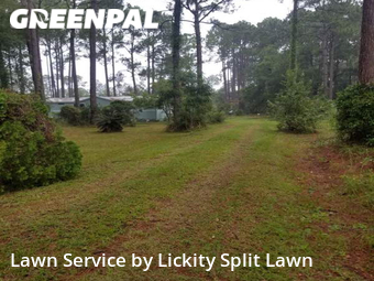 Yard Cutting nearby Fernandina Beach, FL, 