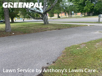 Lawn Care Service nearby Roseville, MN, 