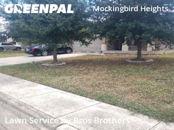 Lawn Mowing Service nearby New Braunfels, TX, 