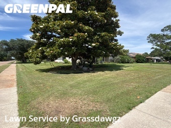 Lawn Care Servicein Richardson,75081,Yard Cutting by Grassdawgz, work completed in Jun , 2026