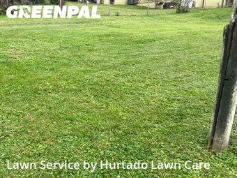 Lawn Cut nearby Knoxville, TN, 
