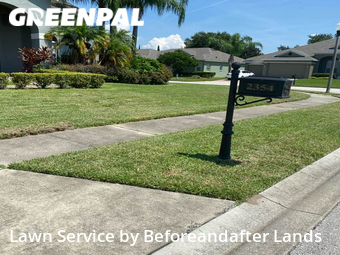 Lawn Cut nearby Ocoee, FL, 