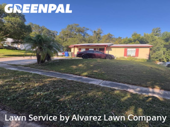 Lawn Mowingin Ocoee,34761,Lawn Service by Alvarez Lawn Company, work completed in Feb , 2026
